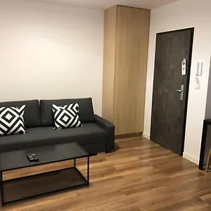 Platinex 6 Kraków
